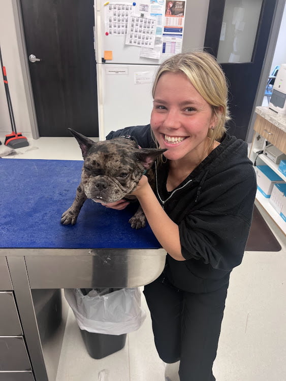 Meet Our Team HARVESTER ANIMAL CLINIC