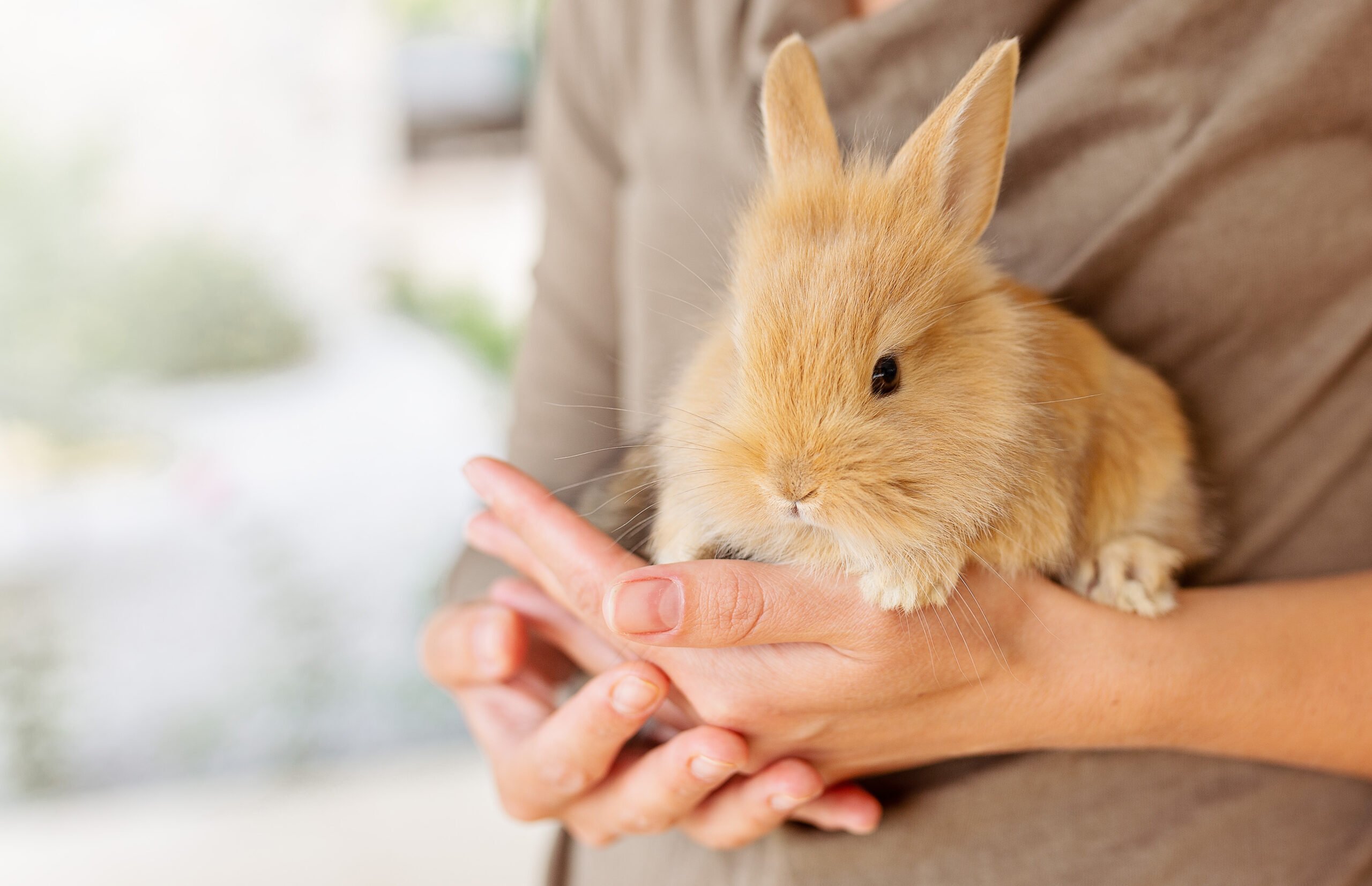 Exotic Pet Care in St. Peters, MO