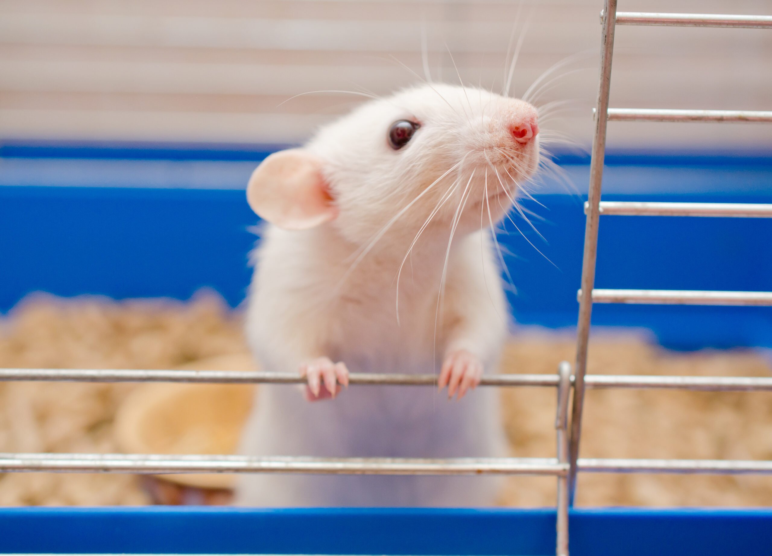 Exotic Pet Care in St. Peters, MO