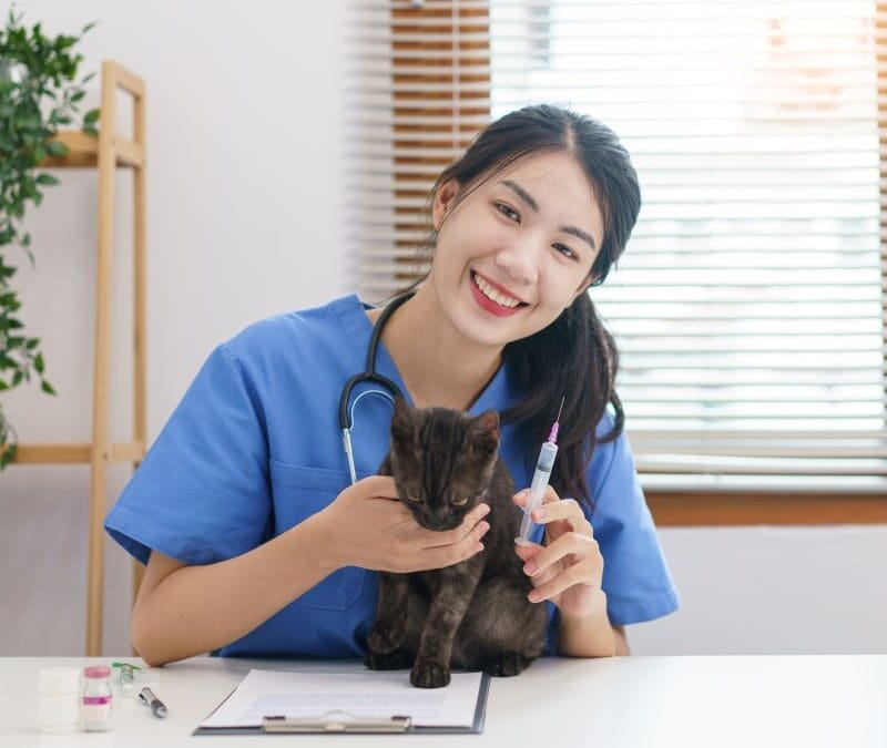 Can Allergy Shots Help My Dog's Flea Allergy Dermatitis