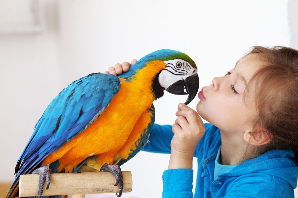 What are Exotic Animals A Comprehensive Guide to Exotic Pet Care